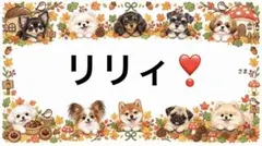 専用