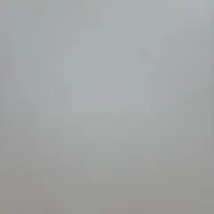 専用出品