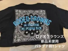 Item thumbnail for item b69644f0-0144-4337-a81d-92260cae6a3e