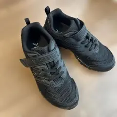 Item thumbnail for item 96a0a094-5903-49df-8ef2-42b7db205115