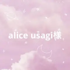 alice usagi様 リクエスト 2点 まとめ商品