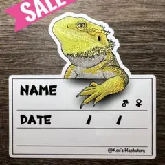 Item thumbnail for item 00d77b61-f670-43be-866c-0f41fd2dcde0