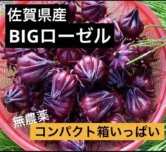 【残りわずか！最終出品間近】沖縄産フレッシュローゼル　10kg 2025年最新】種類：ローゼル 野菜の人気アイテム - メルカリ