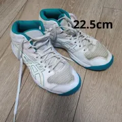 ASICS アシックス ダンクショット バッシュ 22.5cmのサムネイル