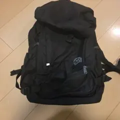 郁文館　高校　中学校　通学バッグ　リュック　バックパック　Lサイズ　郁文館夢学園