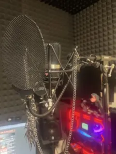 2026年最新】NEUMANN U87aiの人気アイテム - メルカリ