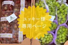 10/30,31出荷予定　シャインマスカット3キロ　クインニーナ粒2キロ