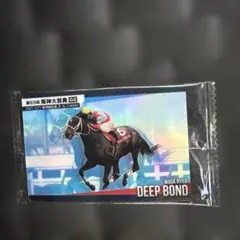サラブレッドホースコレクション　ディープボンド