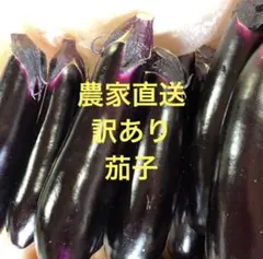 農薬不使用 埼玉県産 朝採れ 筑陽茄子 箱込み 2キロ - メルカリ