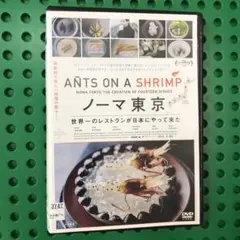 ノーマ東京　DVD