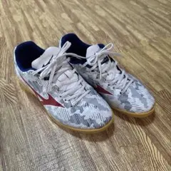 モダルシーダネオ⭐︎室内用