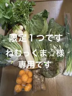 ねむっくま☆様専用のお野菜です（100サイズ）