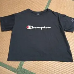 大きいサイズレディースtシャツのサムネイル