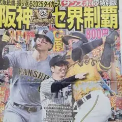 2025タイガースサンスポ特別版