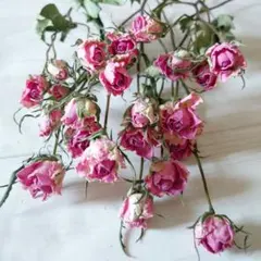 まちゃ様 リクエスト 3点 まとめ商品