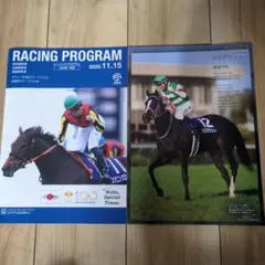 競馬 JRA エリザベス女王杯　土曜日版レーシングプログラム2冊　レープロ
