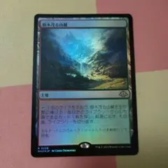 2025年最新】樹木茂る山麓 foilの人気アイテム - メルカリ