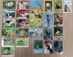 Item thumbnail for item 18452e9d-f936-41f7-b59e-0a4281b4dfb8