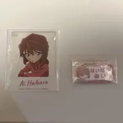 灰原哀 クリアカード ねーむシリーズ