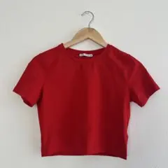 ZARA 半袖ミニTシャツ