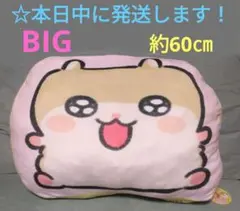 【 クソハムちゃん　超ドでかっ！ もちもちクッション 『 コビハムちゃん 』】