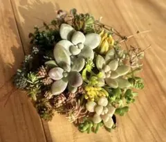 ハンス様 リクエスト 2点 まとめ商品