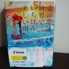 この恋は世界でいちばん美しい雨