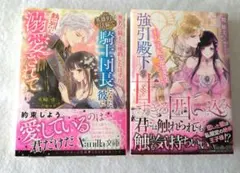 ヴァニラ文庫/9月/10月/新刊/２冊セット/新品同様品/匿名配送