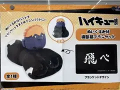 ハイキュー 横断幕