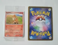 超激レア！ポケモンカード ミニカード ヒコザル 新品未開封 - メルカリ