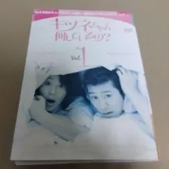 韓国ドラマ キツネちゃん何しているの？ DVD 全8巻セット