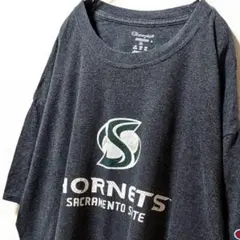 チャンピオン サクラメントステートホーネッツ Tシャツ グレー灰色XL古着