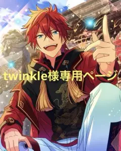 twinkle様専用ページ