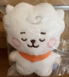 BT21 BABYねとんぬいぐるみ　RJ Sサイズ　#BTS #JIN