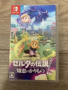 ゼルダの伝説 知恵のかりもの Nintendo Switch