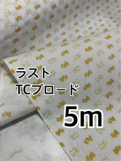 5m ラスト　TCブロード 犬柄　ベージュ　ハギレ　生地