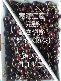 KB-22 寒河江産 完熟 紅さやか (サイズ色々)　 箱込み 1.1キロのサムネイル