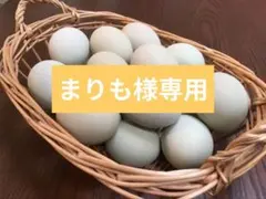 まりも様専用　青いたまご　アローカナ　平飼いたまご　36個