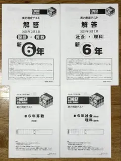 2026年最新】日能研 全国テスト 3年の人気アイテム - メルカリ
