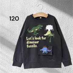 恐竜プリントスウェット トレーナー ダイナソー カジュアル おしゃれ 子供服