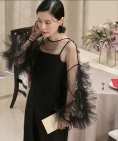 forksy. オケージョン対応　ボリュームチュールフリル袖シアーブラウス