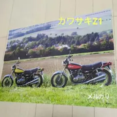 Item thumbnail for item 9e983649-0201-4712-801f-c9a1682d476e