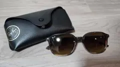 Ray-Ban RB2193F　レオナルド　ケース付きサングラス