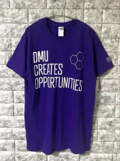 GILDAN Heavy Cotton カレッジプリントTシャツ US古着