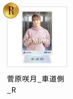 2025年最新】菅原咲月アクリルスタンドの人気アイテム - メルカリ