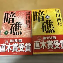 暗礁 上