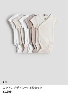 Item thumbnail for item a680d717-9e22-4ad7-8ae7-415476e70d39