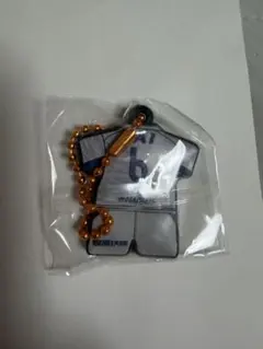 エスパルス　ラバーキーホルダー　6ウォンドュジェ