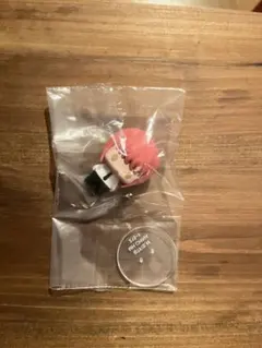 チェンソーマン　マキマ ちょこりんマスコット