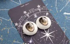 Item thumbnail for item 1d1885b8-cdcc-45ae-9af7-169b74194c04